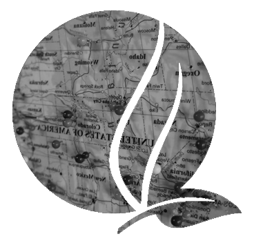 Map Search